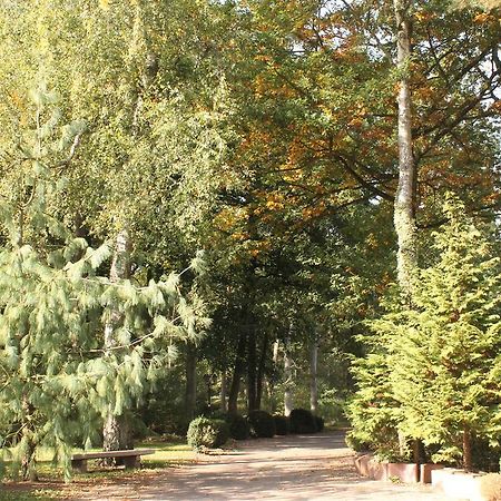 Hotel Und Restaurant Waldschloesschen Crivitz Εξωτερικό φωτογραφία